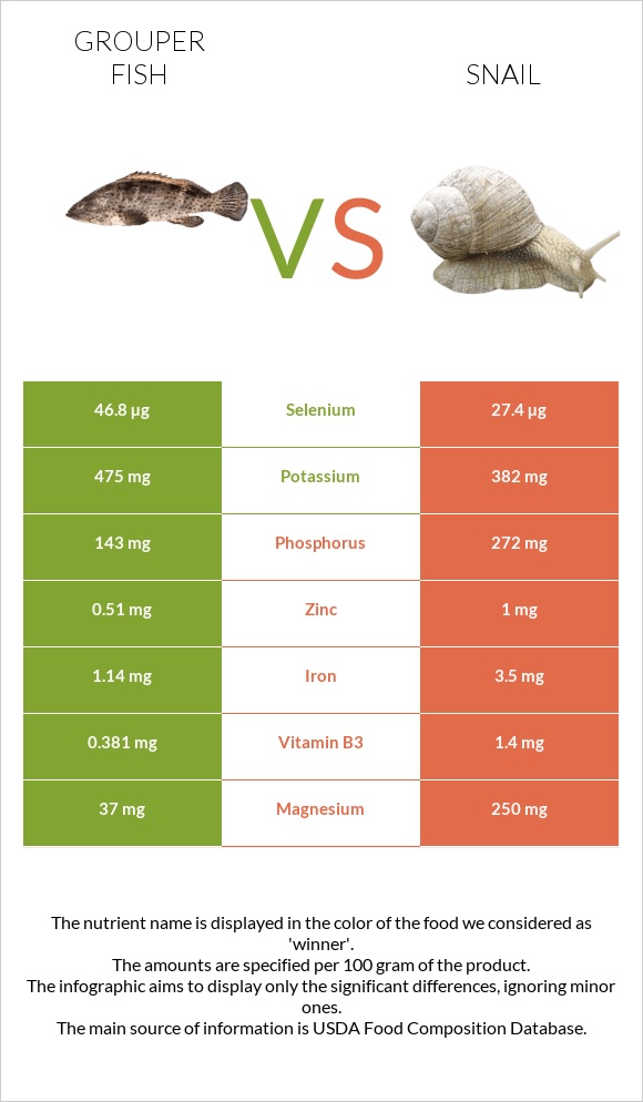 Grouper fish vs Խխունջ infographic