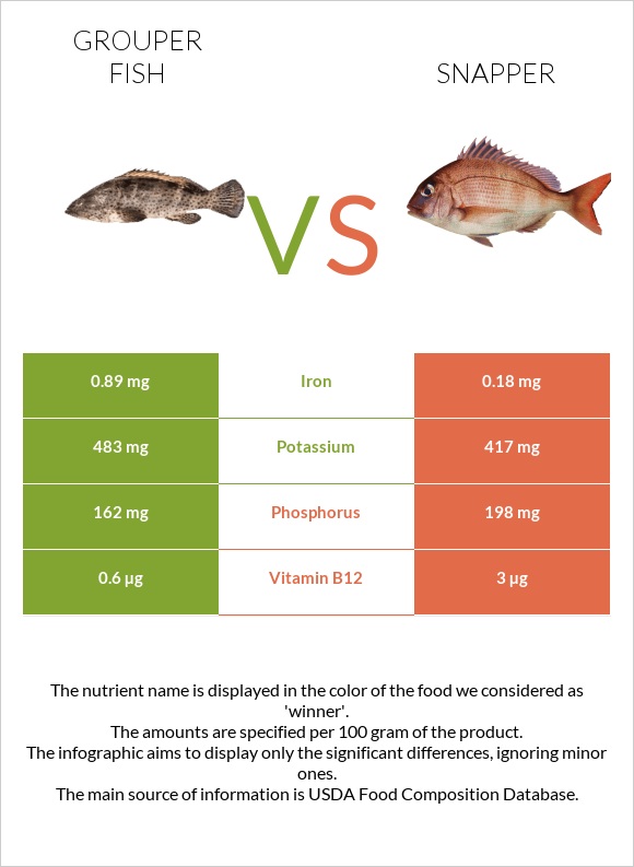 Grouper fish vs Snapper infographic
