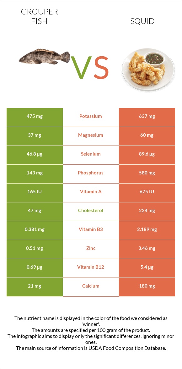 Grouper fish vs Տապակած կաղամար infographic