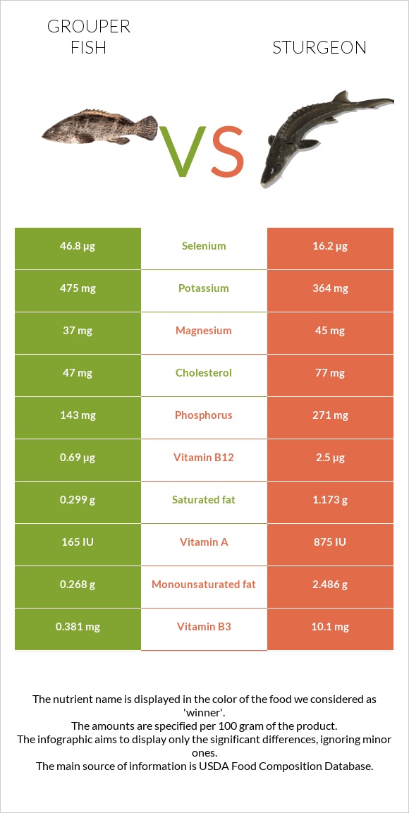 Grouper fish vs Sturgeon infographic