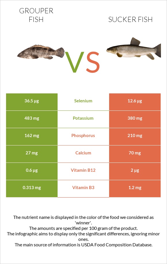 Grouper fish vs Sucker fish infographic