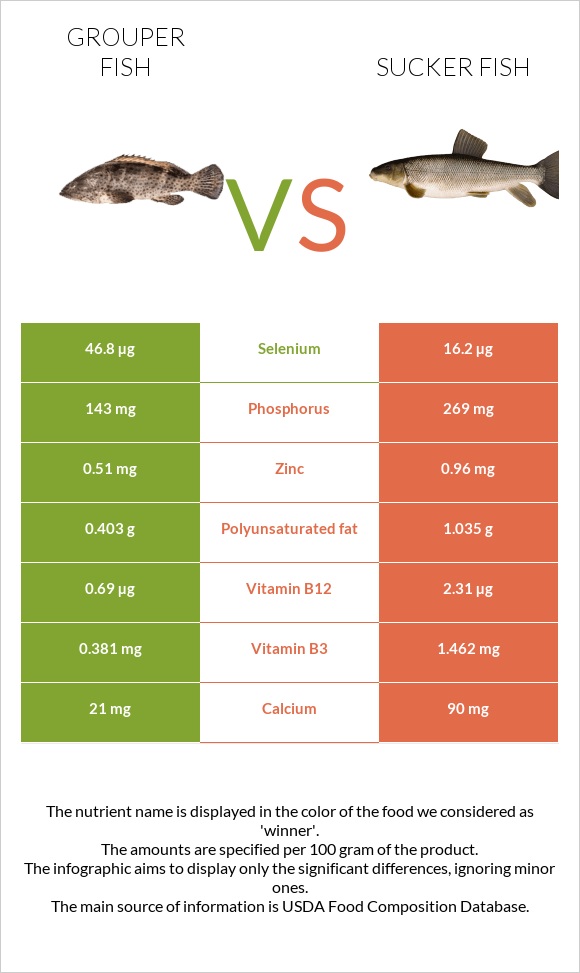 Grouper fish vs Sucker fish infographic