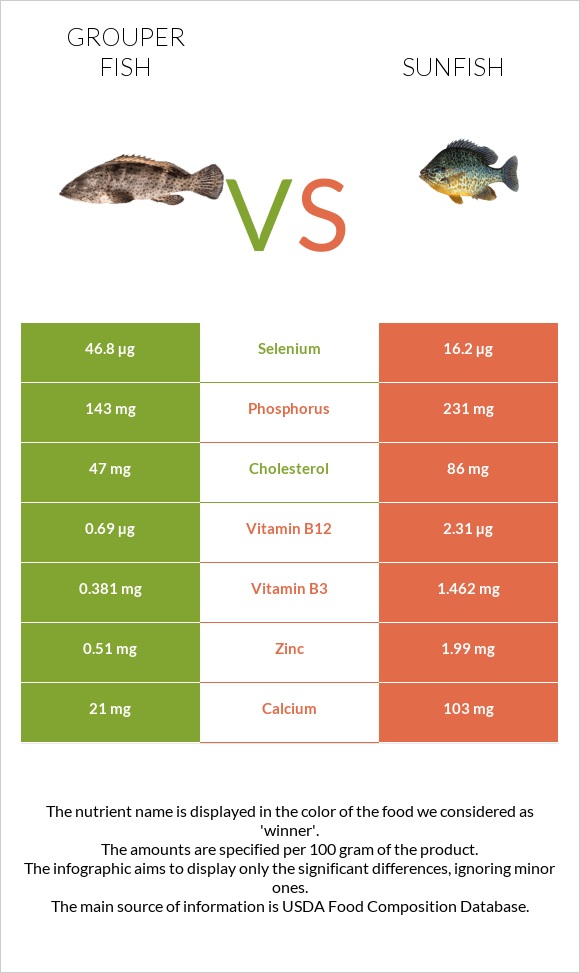 Grouper fish vs Sunfish infographic