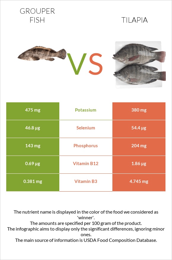 Grouper fish vs Tilapia infographic