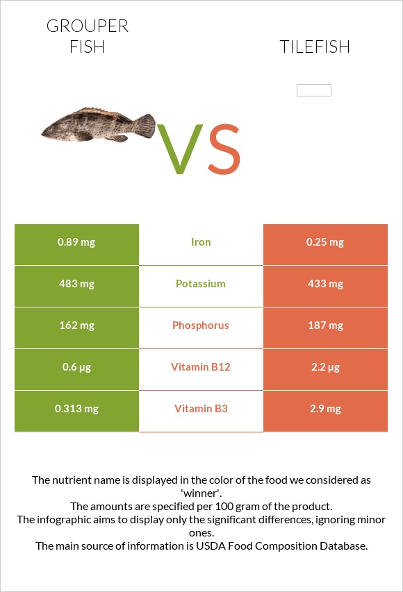 Grouper fish vs Tilefish infographic