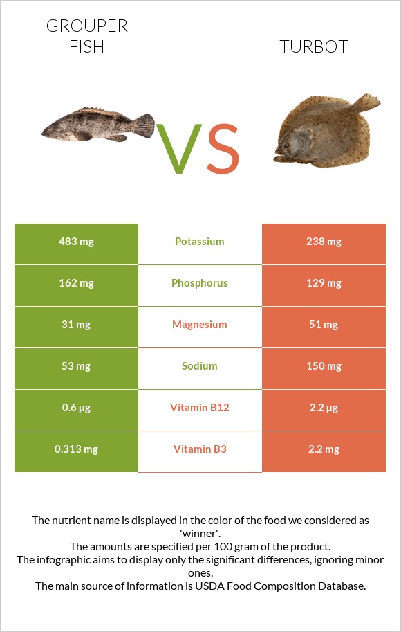 Grouper fish vs Turbot infographic