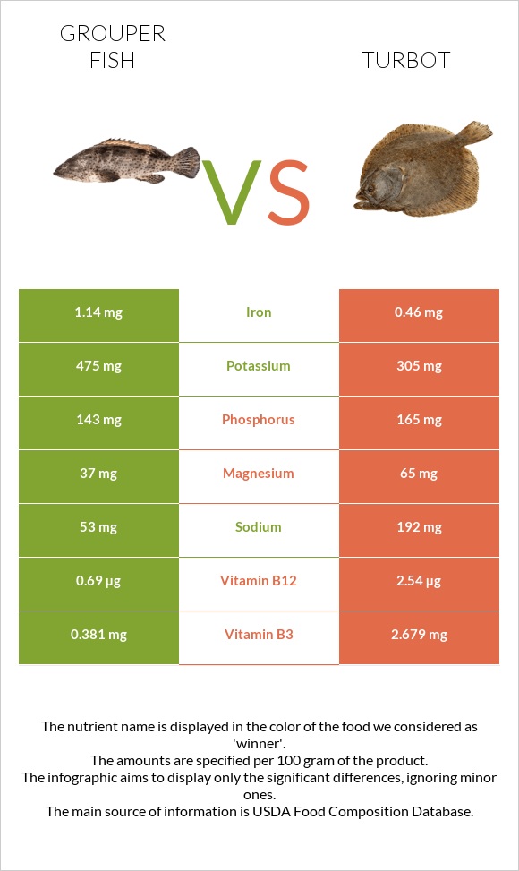 Grouper fish vs Turbot infographic