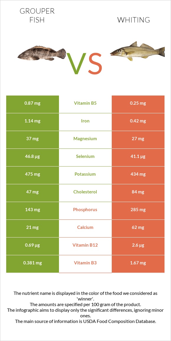 Grouper fish vs Whiting infographic