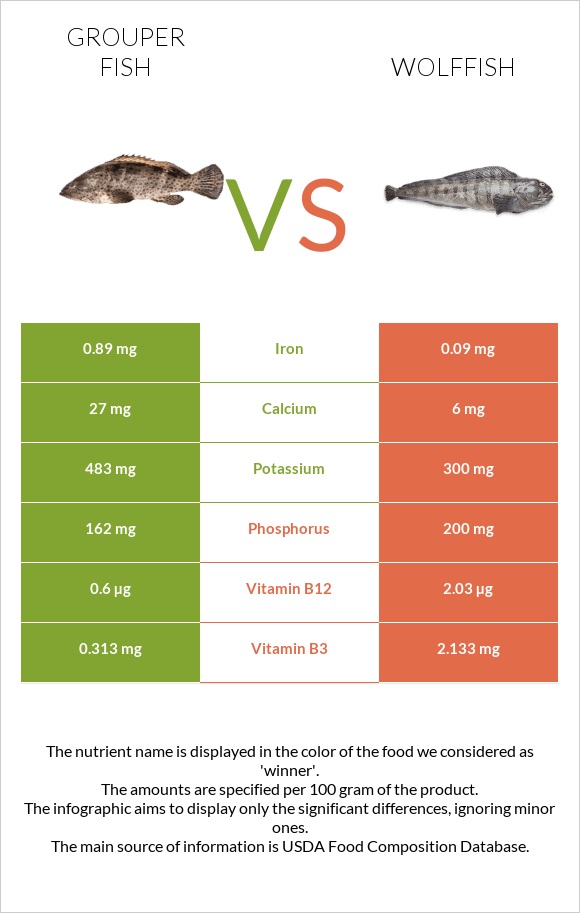 Grouper fish vs Wolffish infographic