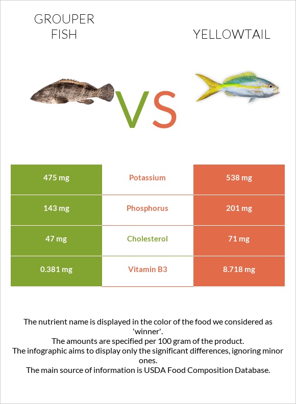 Grouper fish vs Yellowtail infographic