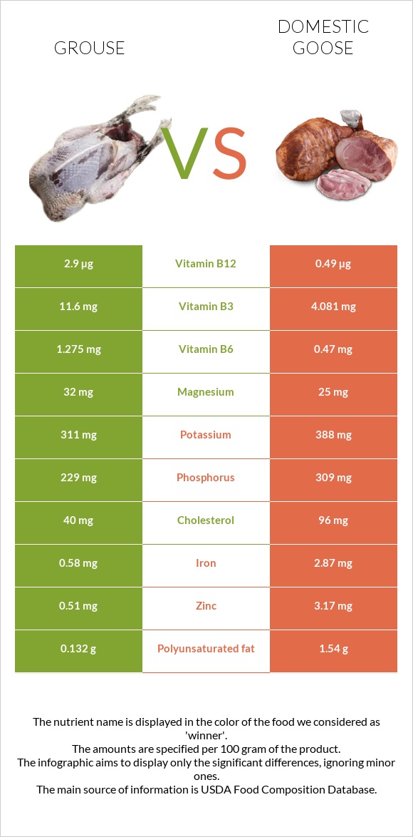 Grouse vs Domestic goose infographic