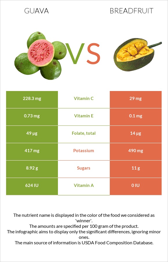 Գուավա vs Հացի ծառ infographic