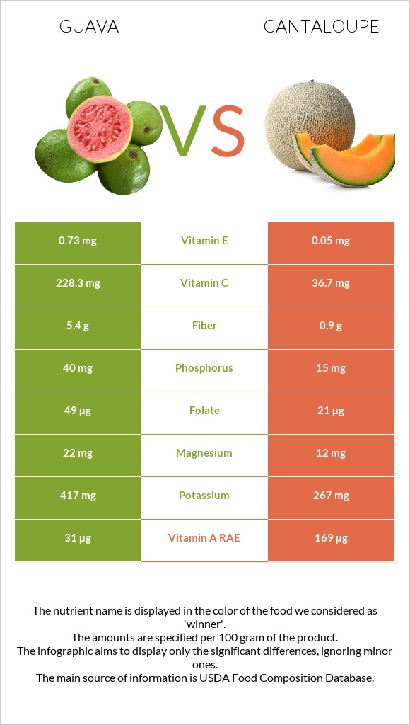 Guava vs Cantaloupe infographic