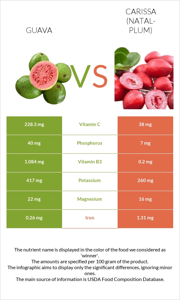 Guava vs Carissa (natal-plum) infographic