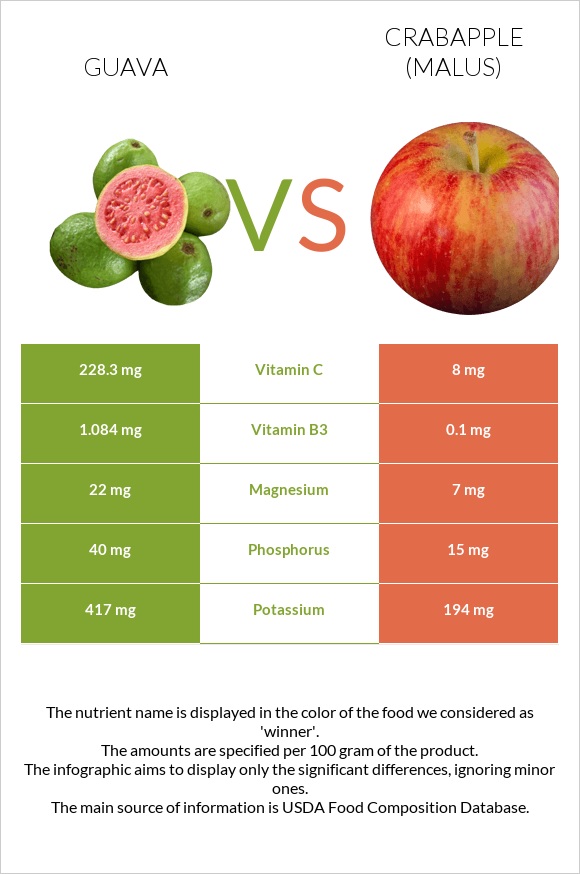 Guava vs Crabapple (Malus) infographic