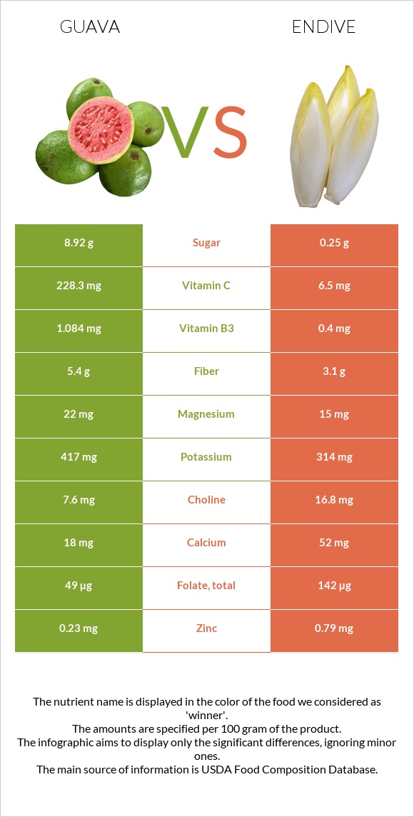 Guava vs Endive infographic