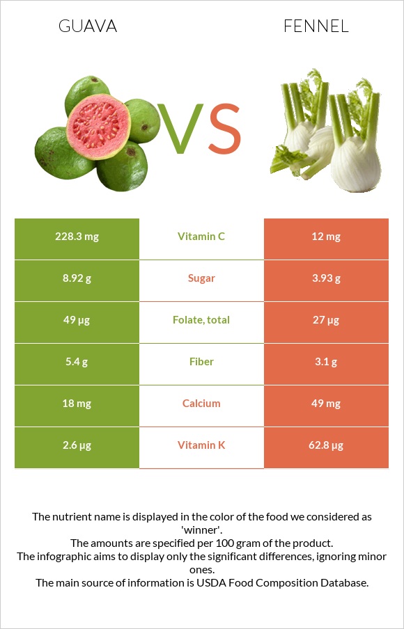 Guava vs Fennel infographic