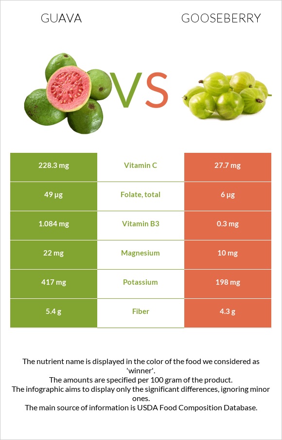Guava vs Gooseberry infographic
