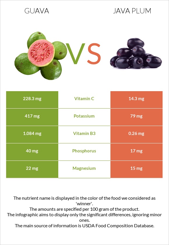 Guava vs Java plum infographic