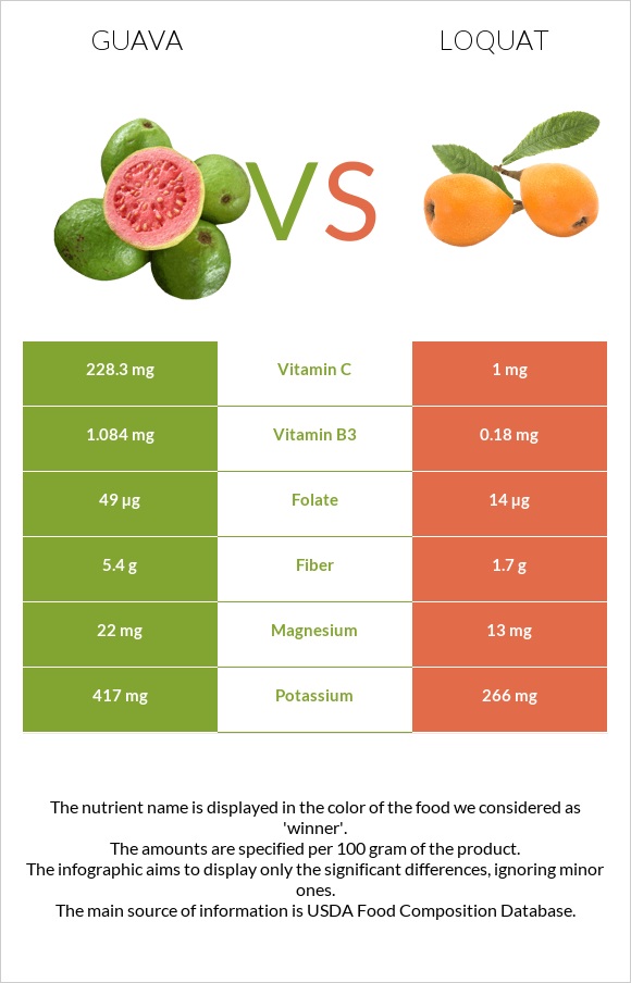 Guava vs Loquat infographic
