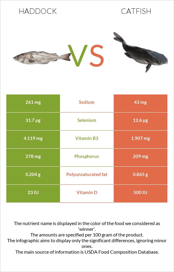 Haddock vs Catfish infographic