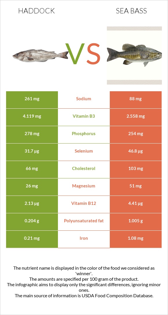 Haddock vs Bass infographic