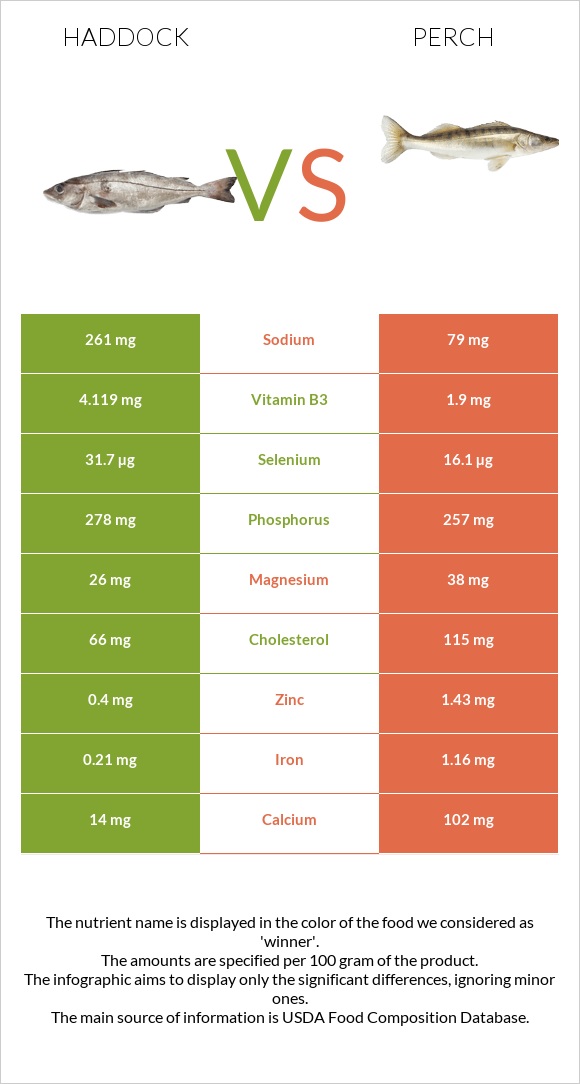 Haddock vs Perch infographic