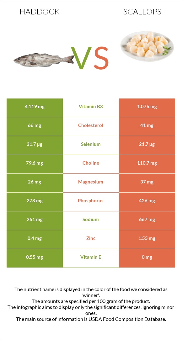 Haddock vs Scallops infographic