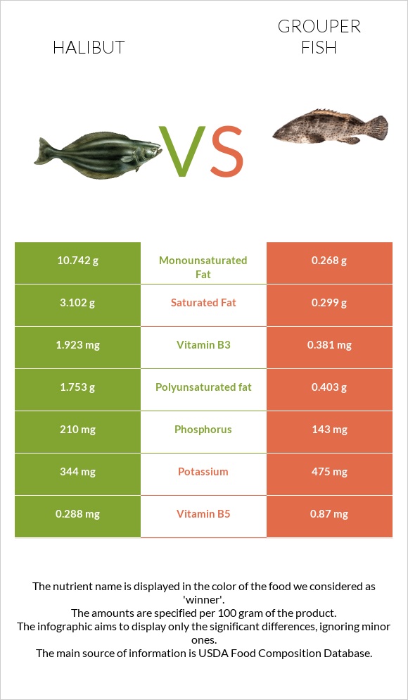 Halibut vs Grouper fish infographic