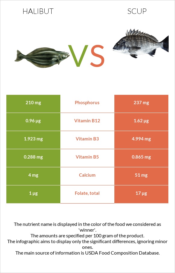 Halibut vs Scup infographic