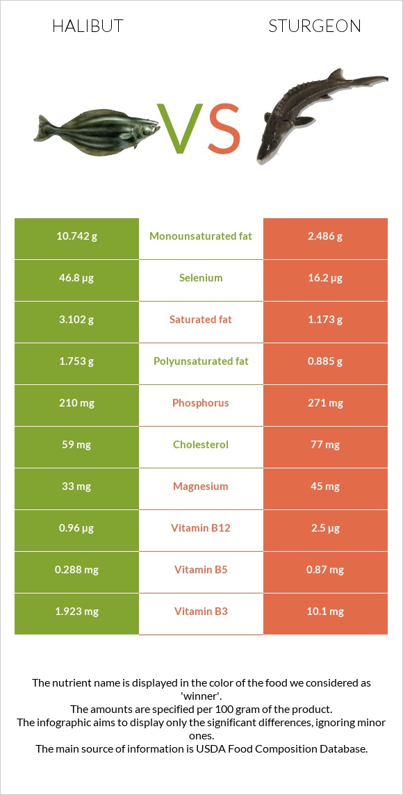 Halibut vs Sturgeon infographic