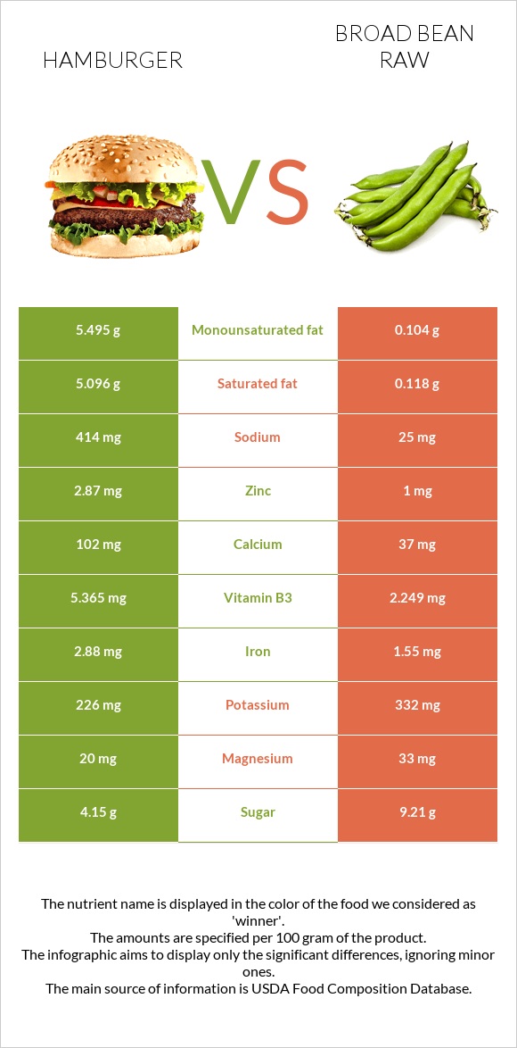 Hamburger vs Broad bean raw infographic