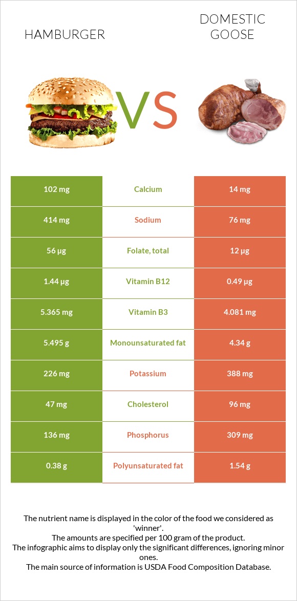 Hamburger vs Domestic goose infographic