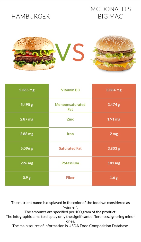 Hamburger vs McDonald's Big Mac infographic