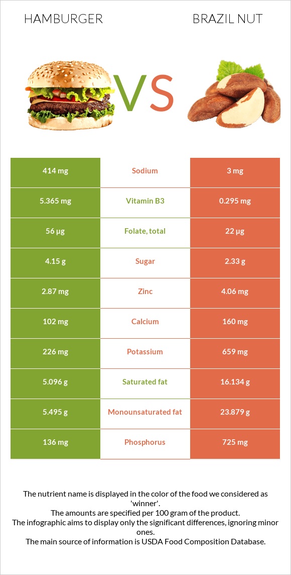 Hamburger vs Brazil nut infographic