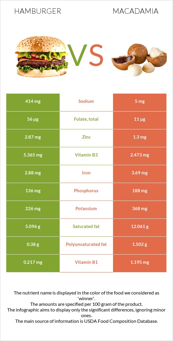 Hamburger vs Macadamia infographic