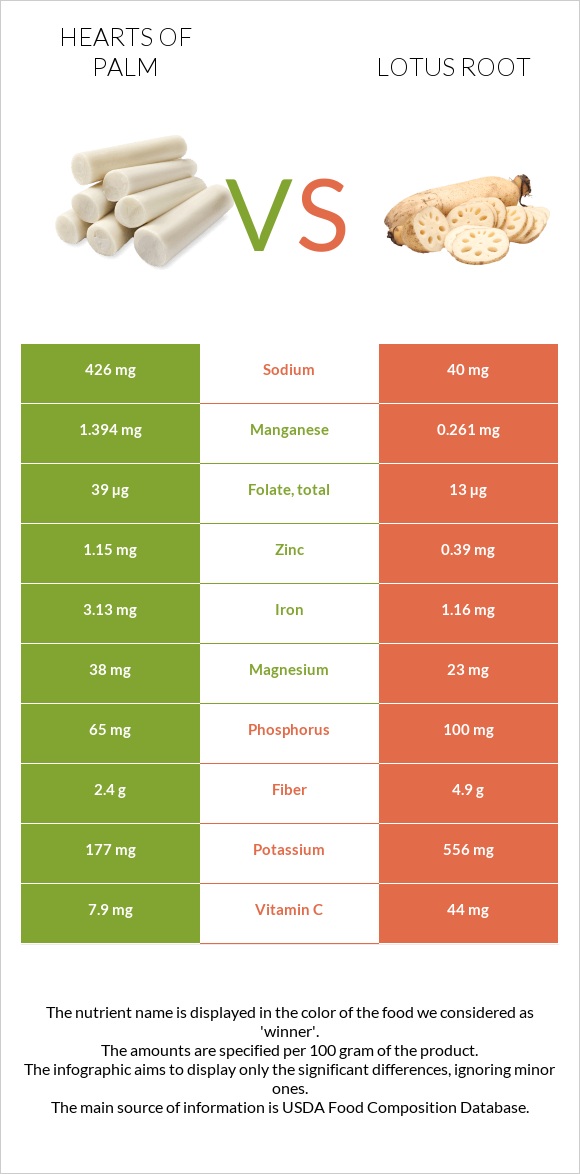 Hearts of palm vs Լոտոս արմատ infographic