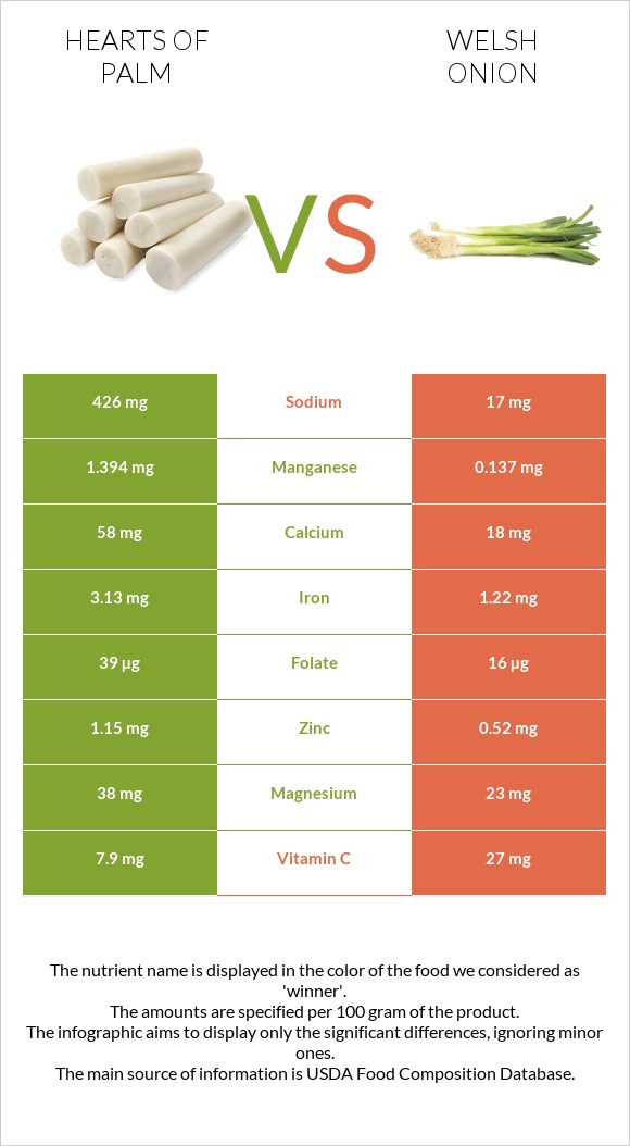 Hearts of palm vs Welsh onion infographic