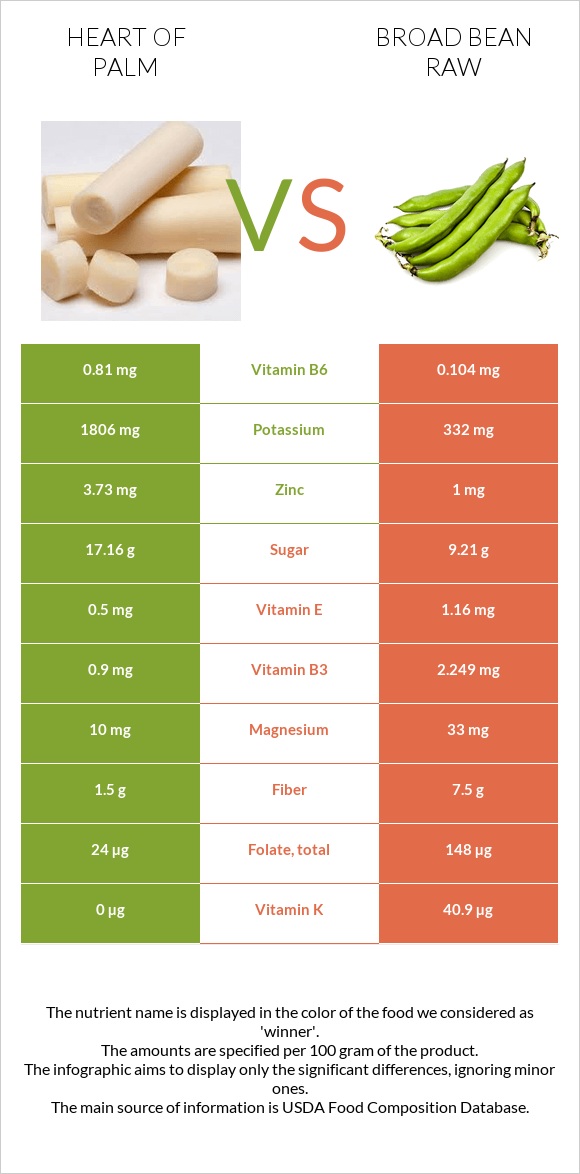 Heart of palm vs Broad bean raw infographic