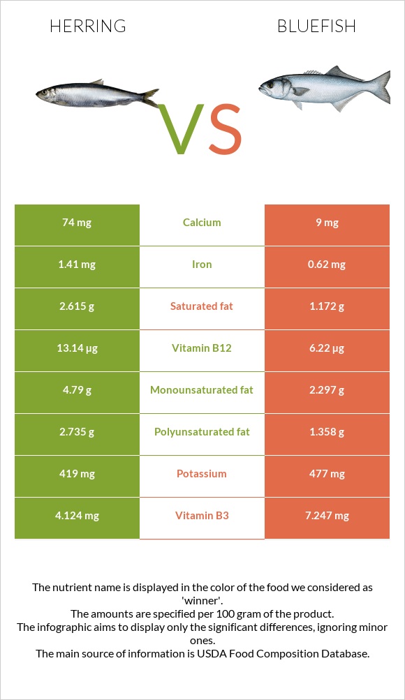 Herring vs Bluefish infographic