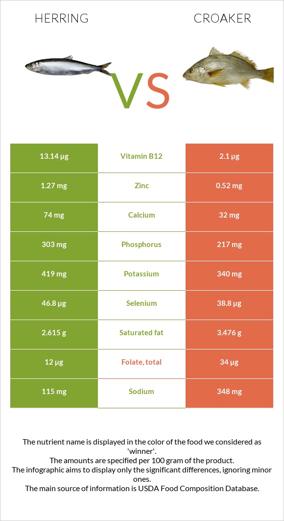 Herring vs Croaker infographic