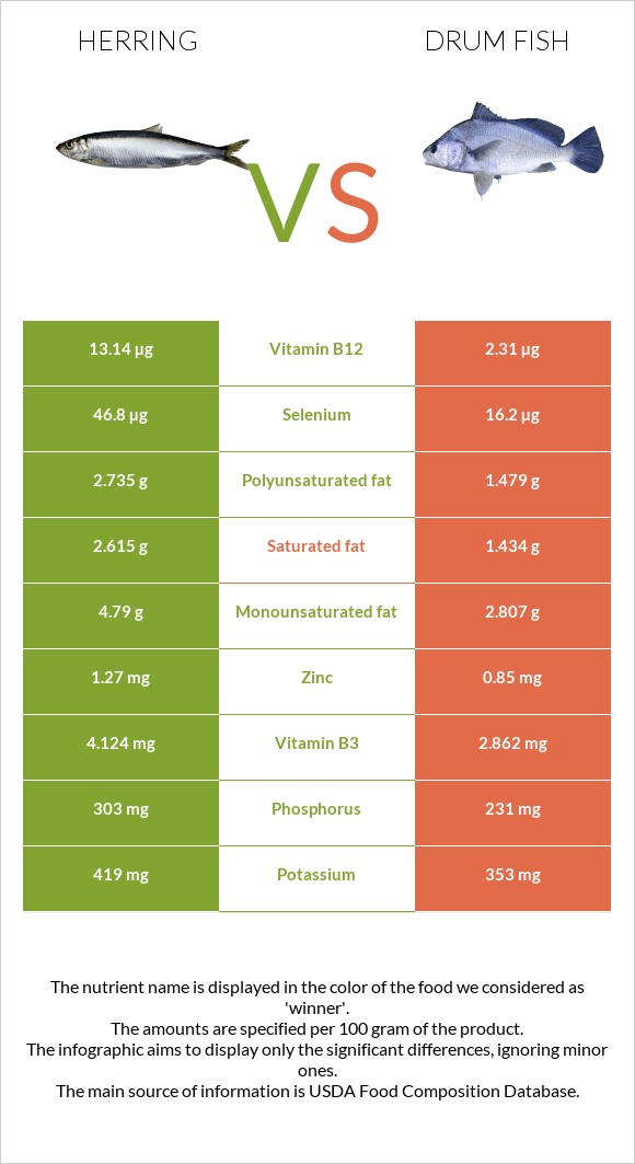 Herring vs Drum fish infographic