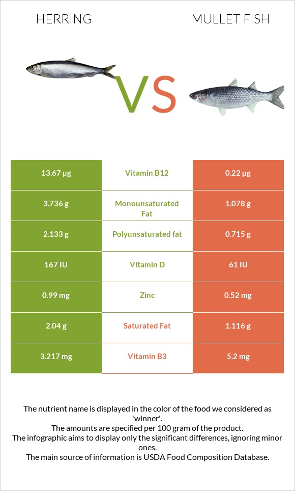 Herring vs Mullet fish infographic