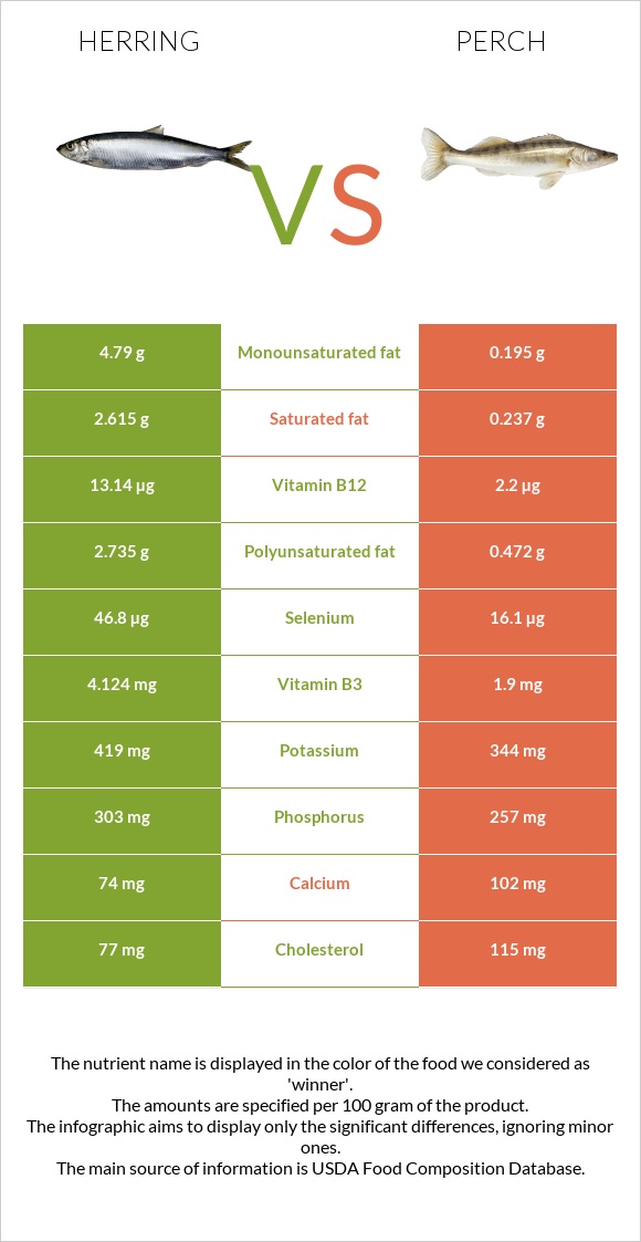 Herring vs Perch infographic