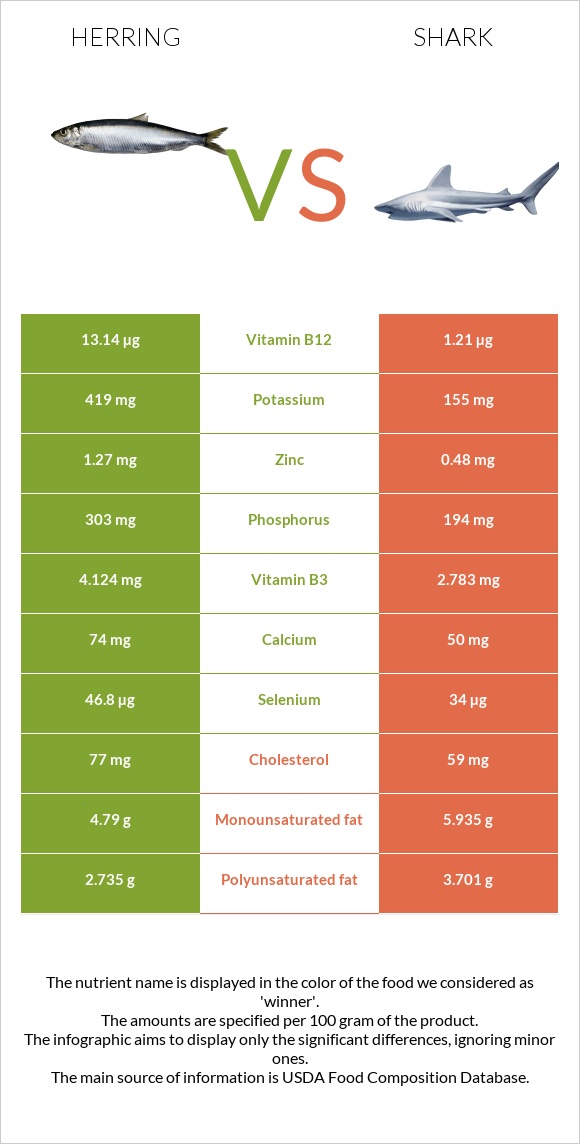 Herring vs Shark infographic