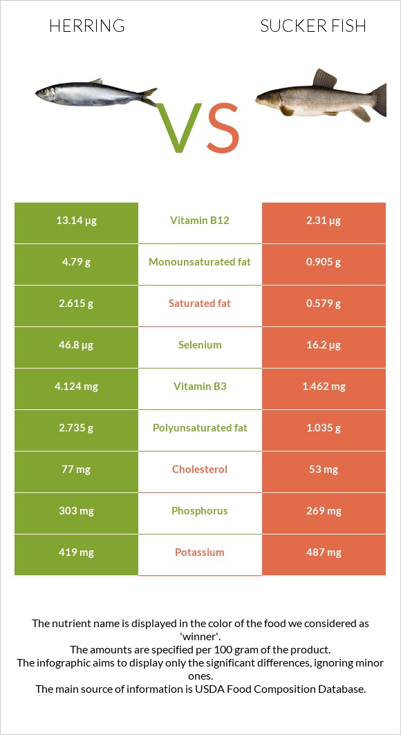 Herring vs Sucker fish infographic