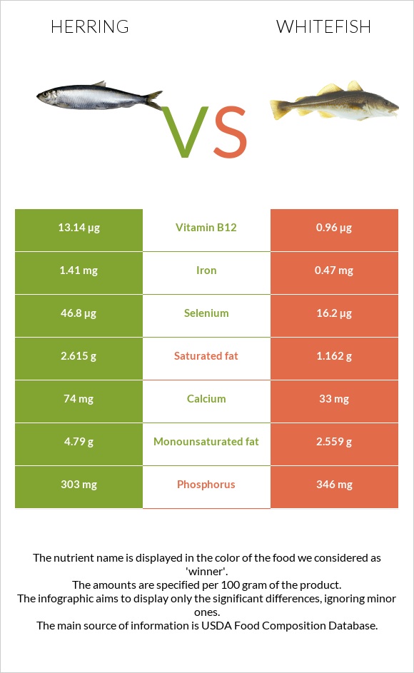 Herring vs Whitefish infographic