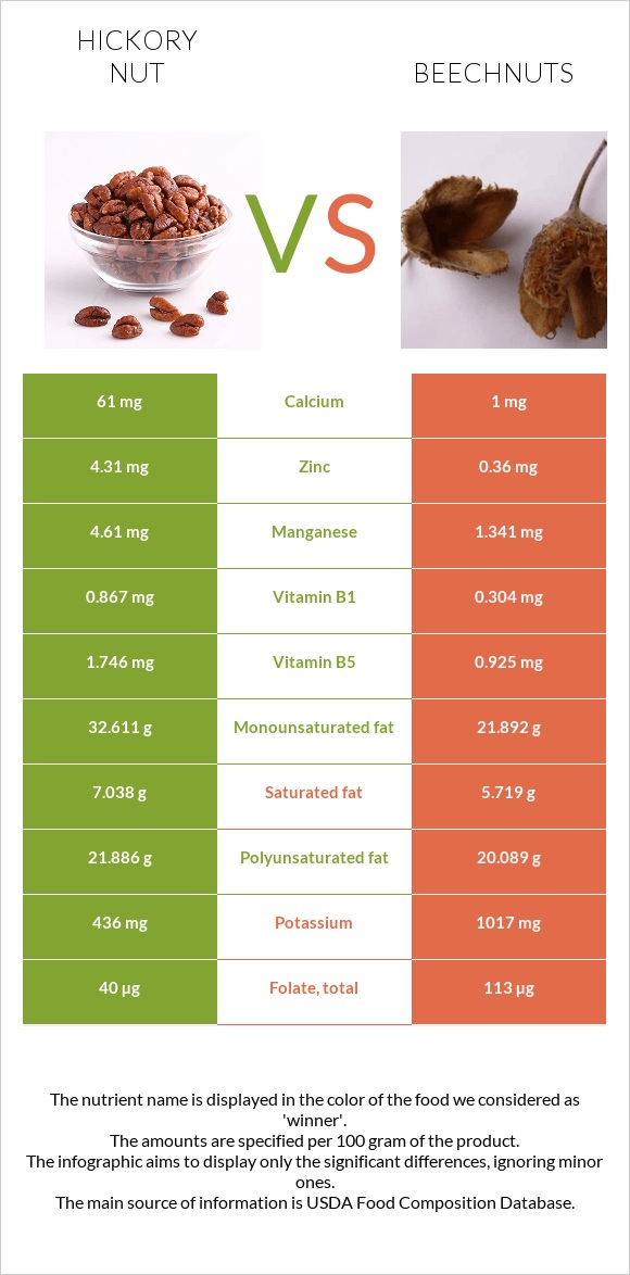 Hickory nut vs Beechnuts infographic