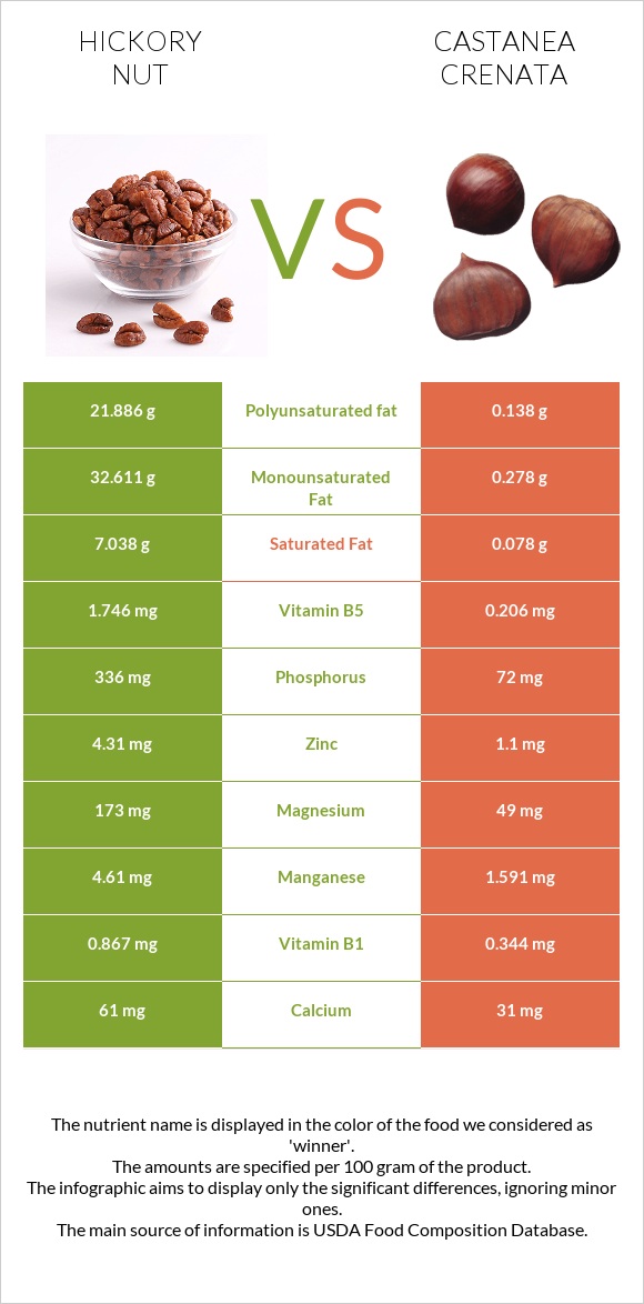 Hickory nut vs Castanea crenata infographic