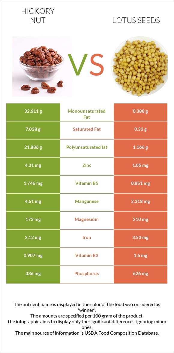 Hickorynuts vs Lotus seeds infographic